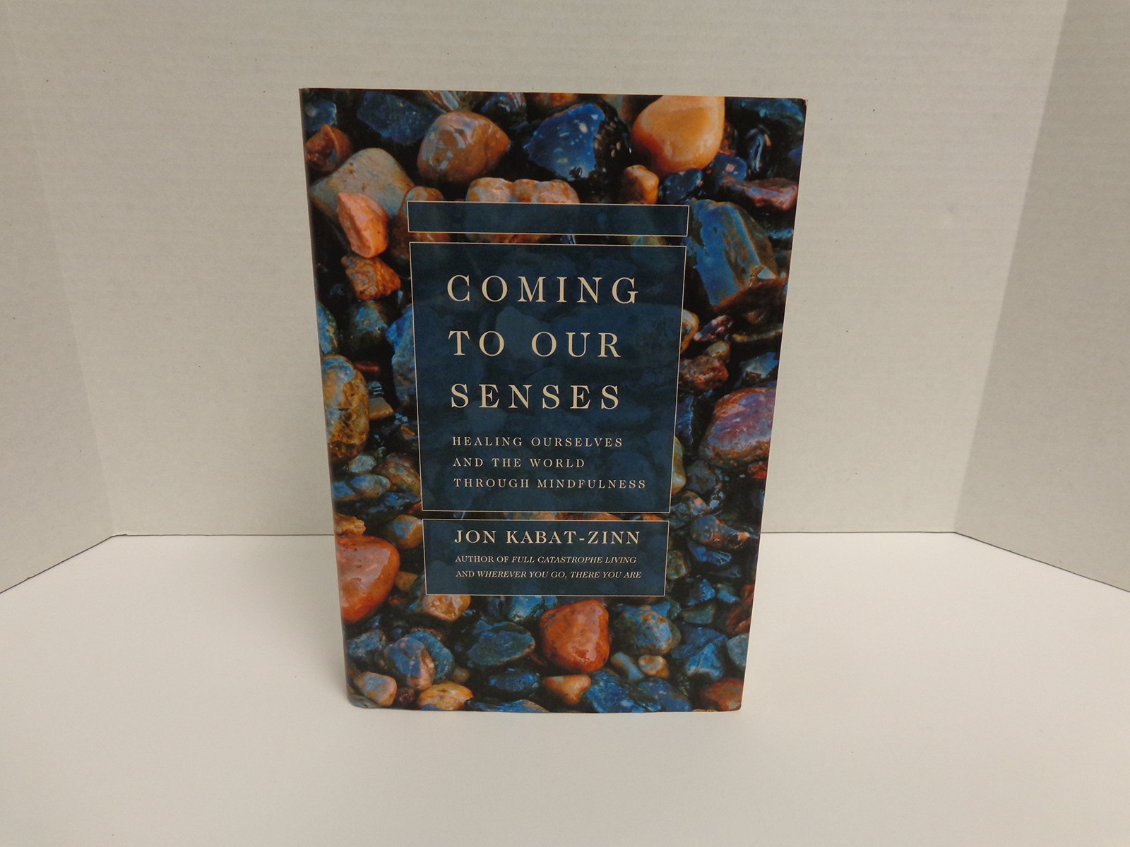 Coming to Our Senses: Healing Ourselves and the World Through Mindfulness – …