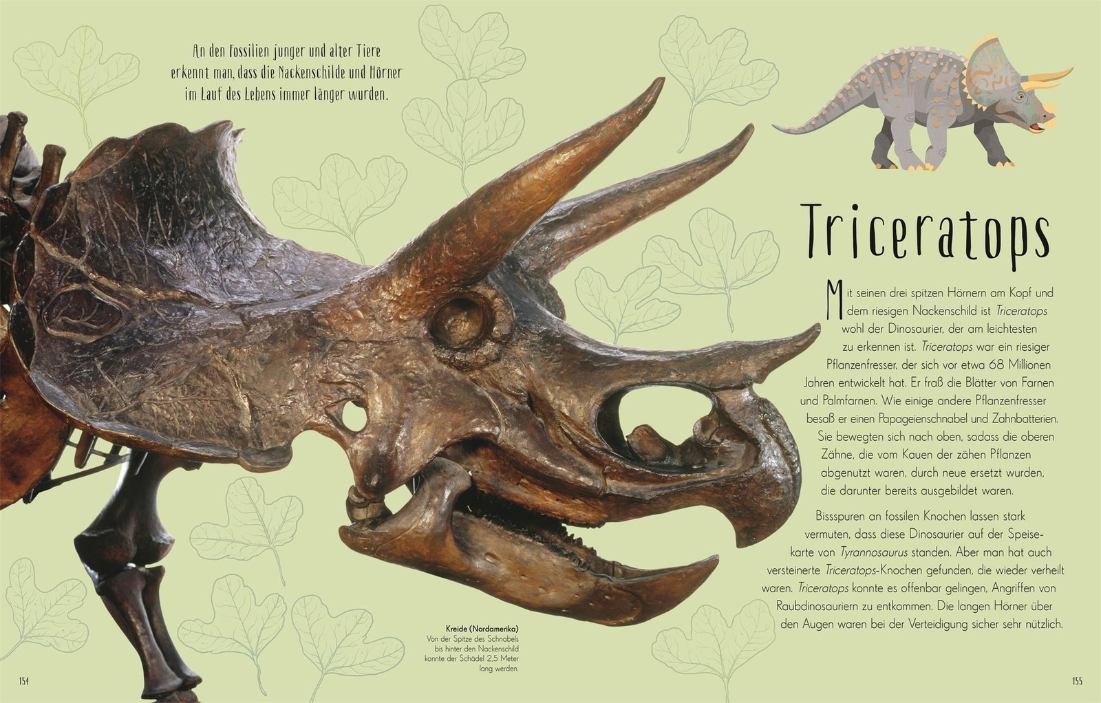 Anusuya Chinsamy-Turan / Wundervolle Welt der Dinosaurier und …9783831045037