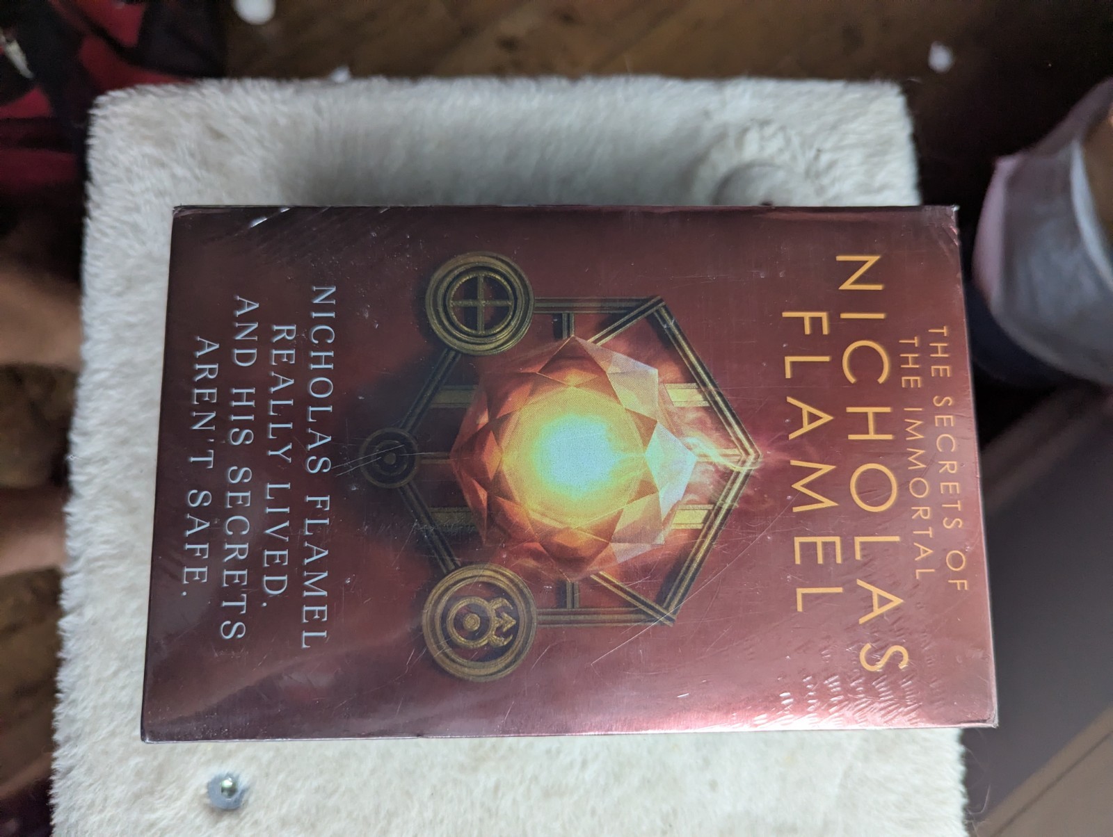 The Secrets of the Immortal Nicholas Flamel, Michael Scott Box Set SEALED