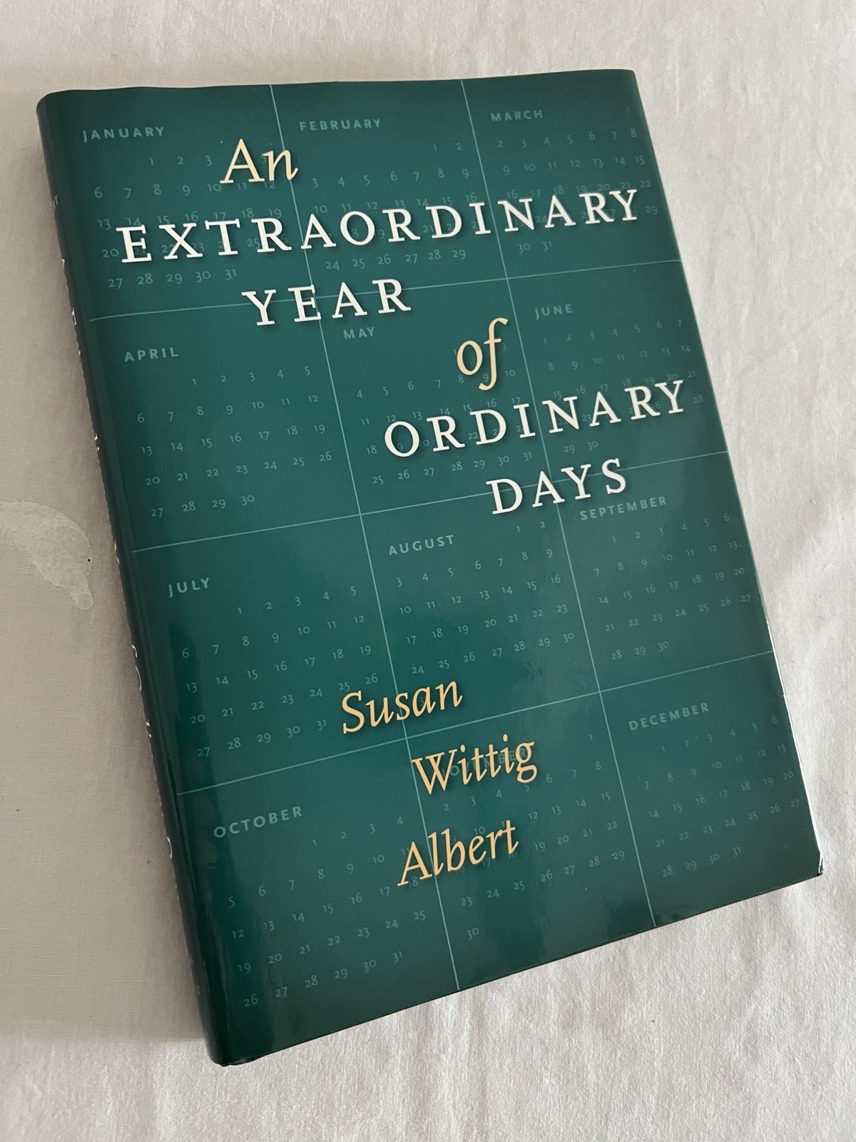 Extraordinary Year of Ordinary Days by Susan Wittig Albert (2010, Hardcover)