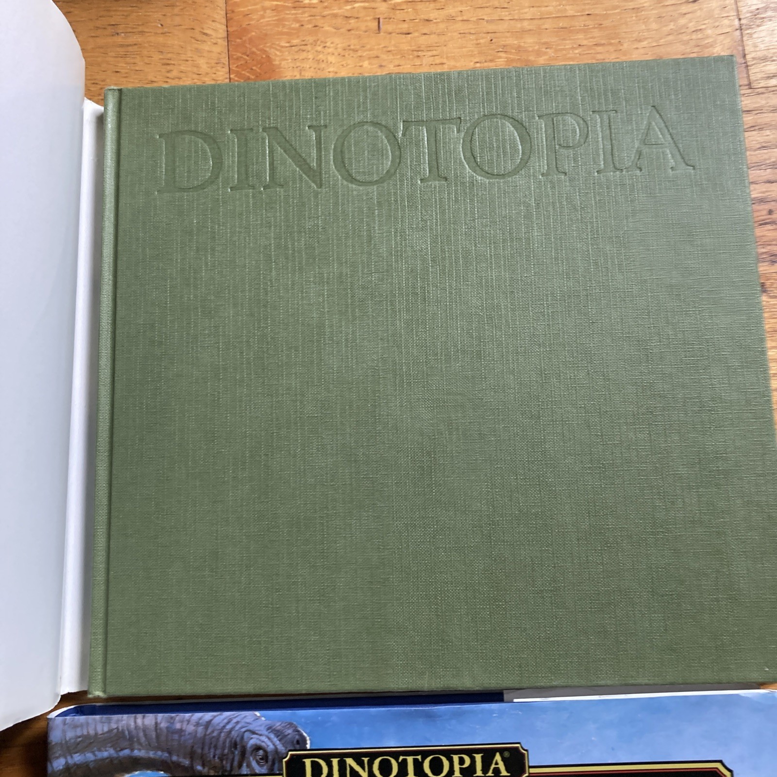 Dinotopia James Gurney The World Beneath 20th Anniversary Illustrated Lot HB/DJ