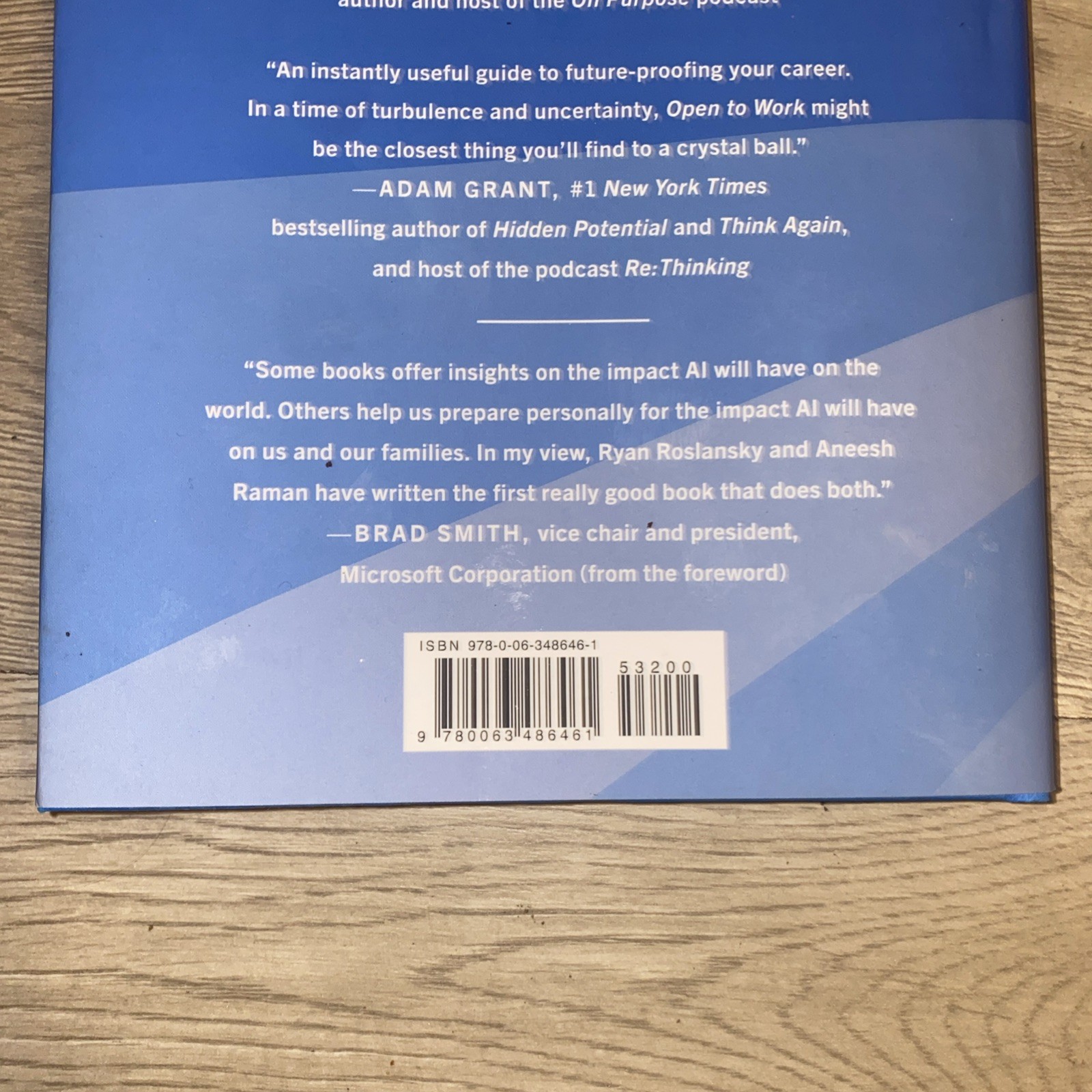 Open to Work How to Get Ahead in the Age of AI HC Book Ryan Roslansky