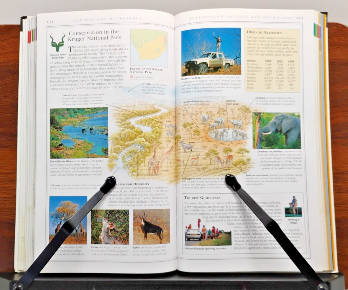 DK Eyewitness Travel Guide Book Lot 10 London Paris Japan Switzerland DC Europe