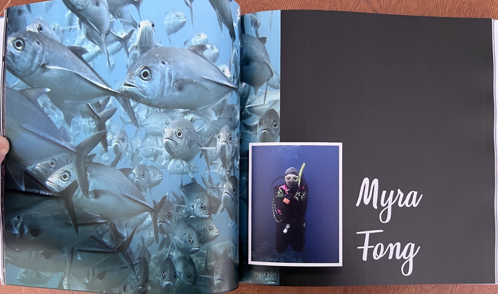 Philippines Diving: Anilao Batangas Verde Island Passage Coral Reef Photography