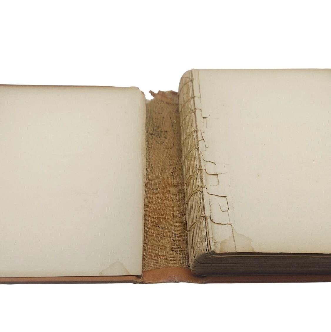 Antique Illustrated Childrens Bible Story Books Set Of 2 Hardcover 1896 & 1906
