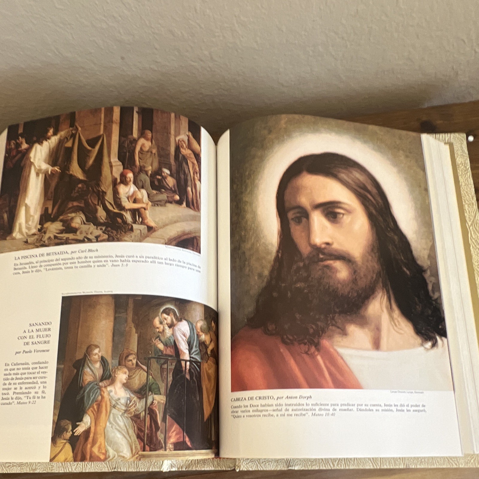 La Sagrada Biblia Felix Torres Amat Illustrated Family Bible Blank Record Like N