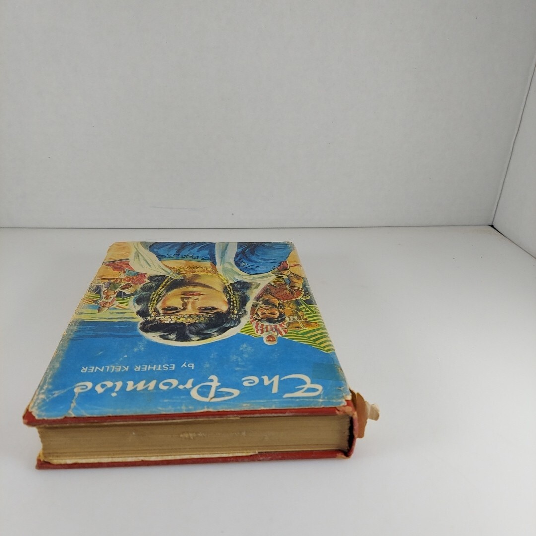 The Promise Esther Kellner 1956 Westminster Press Book Club Edition HCDJ
