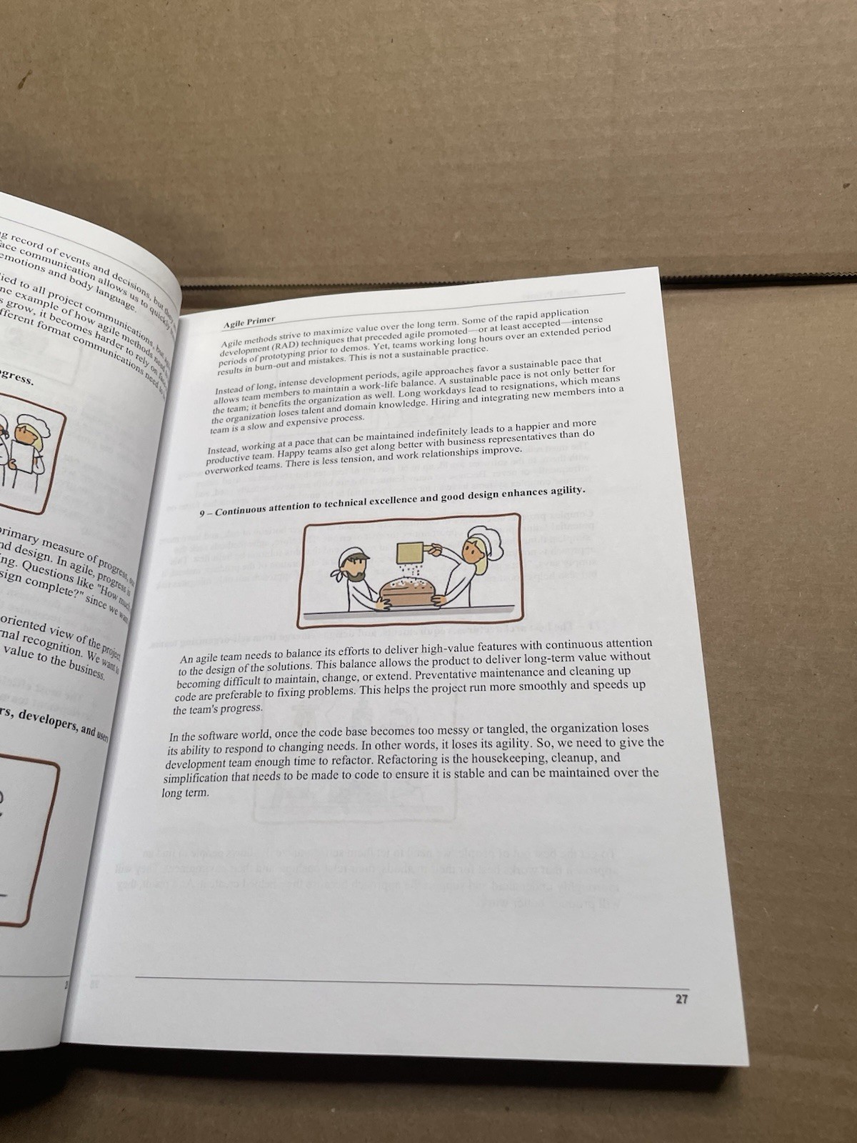 PM Illustrated: A Visual Learner’s Guide to Project Management: (
