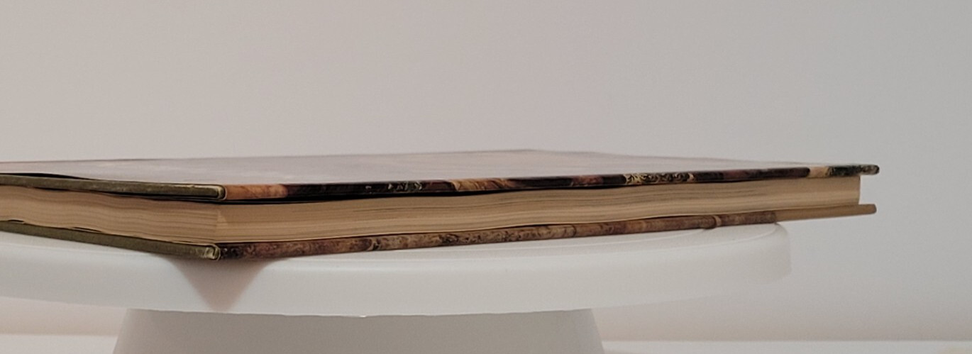 KANO EITOKU JAPANESE ARTS LIBRARY By Tsueneo Takeda 1st Edition