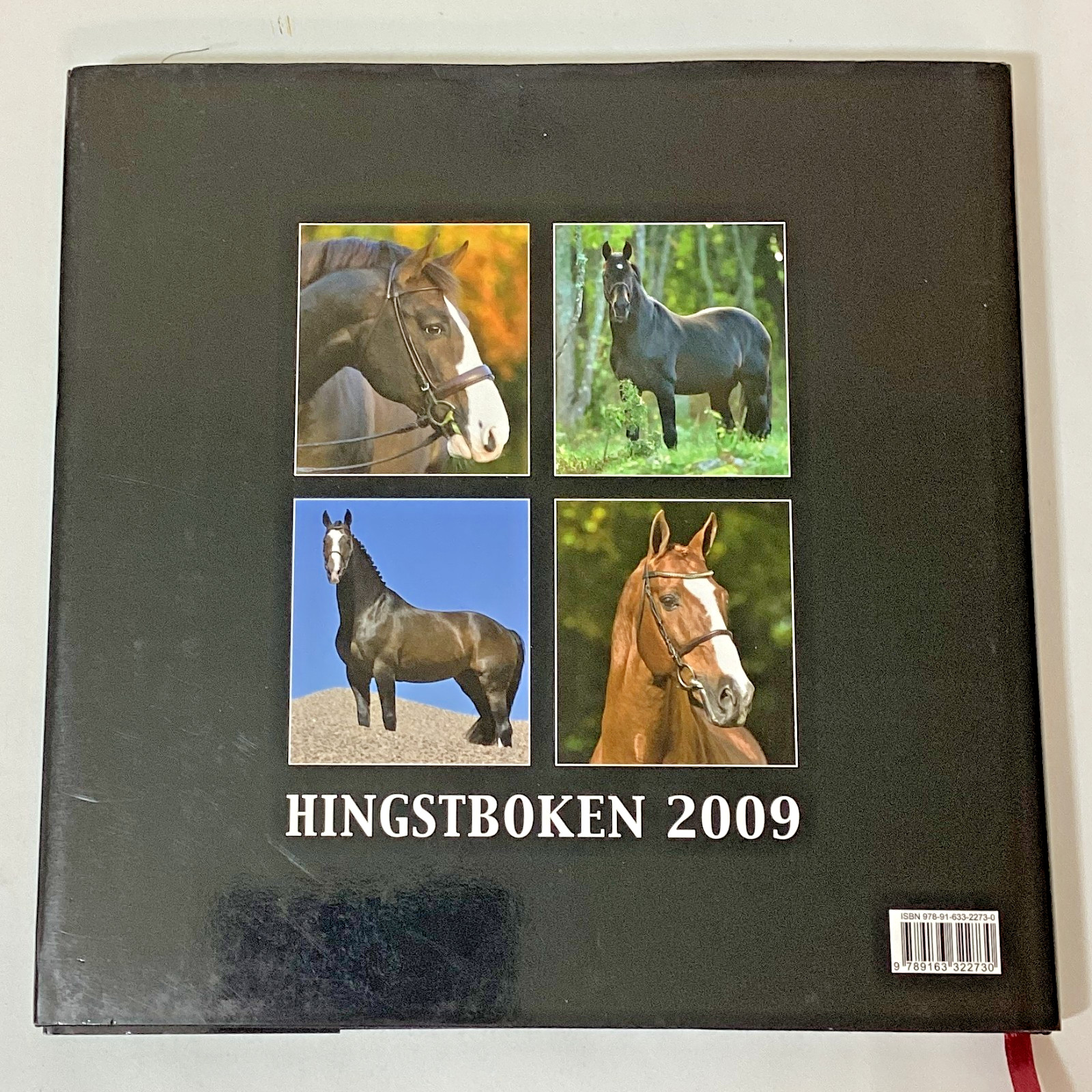 Swedish Horse Book Hingstboken: Hingstar i Svensk Varmblodsavel 2009 Hardcover