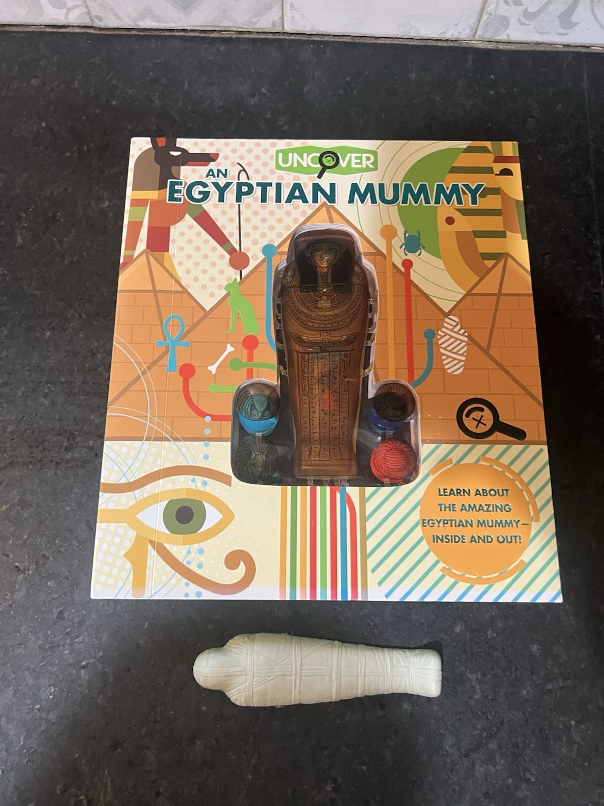 Uncover an Egyptian Mummy ,Large Book 12”