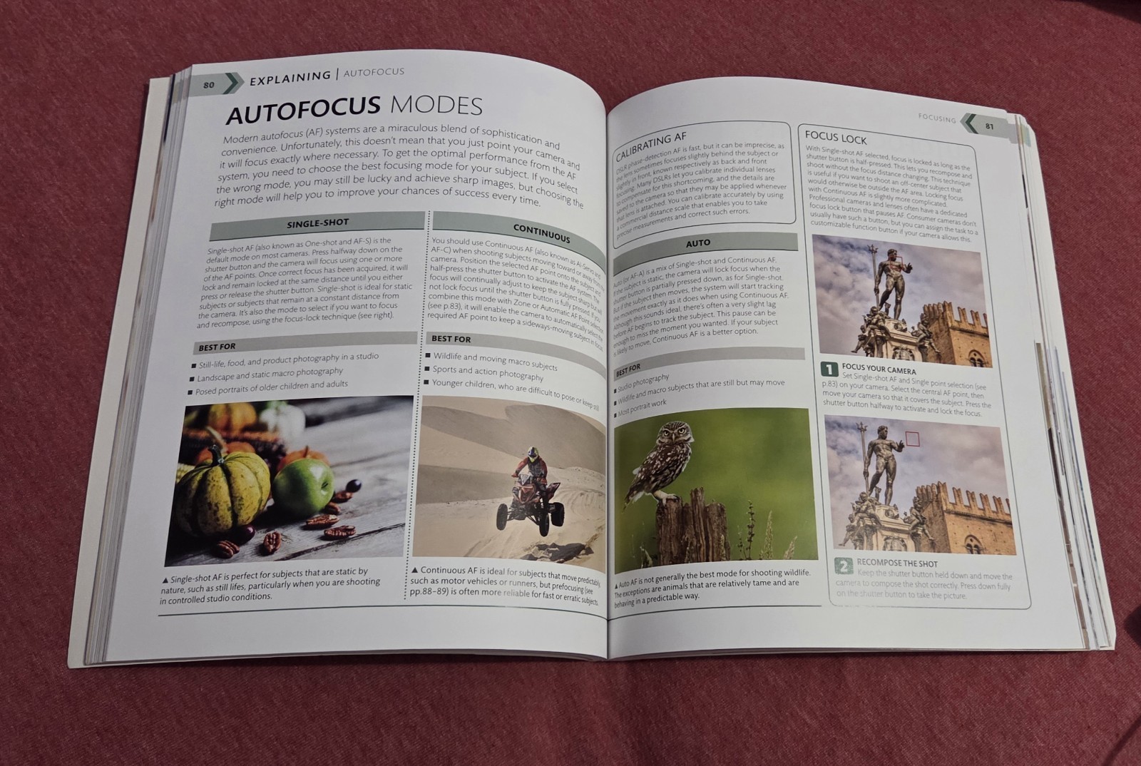 The Advanced Photography Guide: Expert Techniques to Take Your Digital Photo…