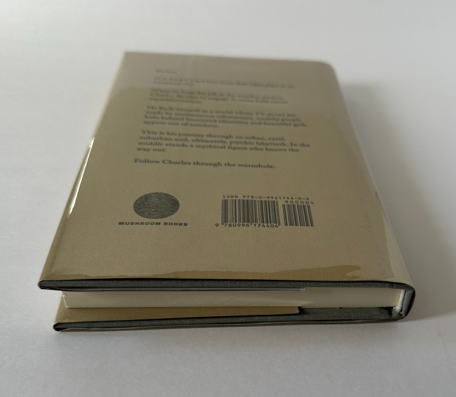 SUMEET BANERJI Ice Party: A Novel | 2015 Mushroom Books First Edition Hardcover