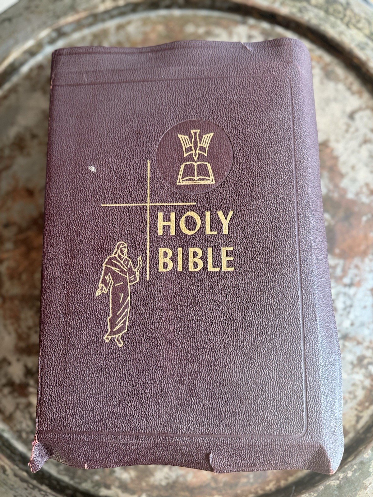 The Holy Bible The Catholic Press Holy Family Edition 1950