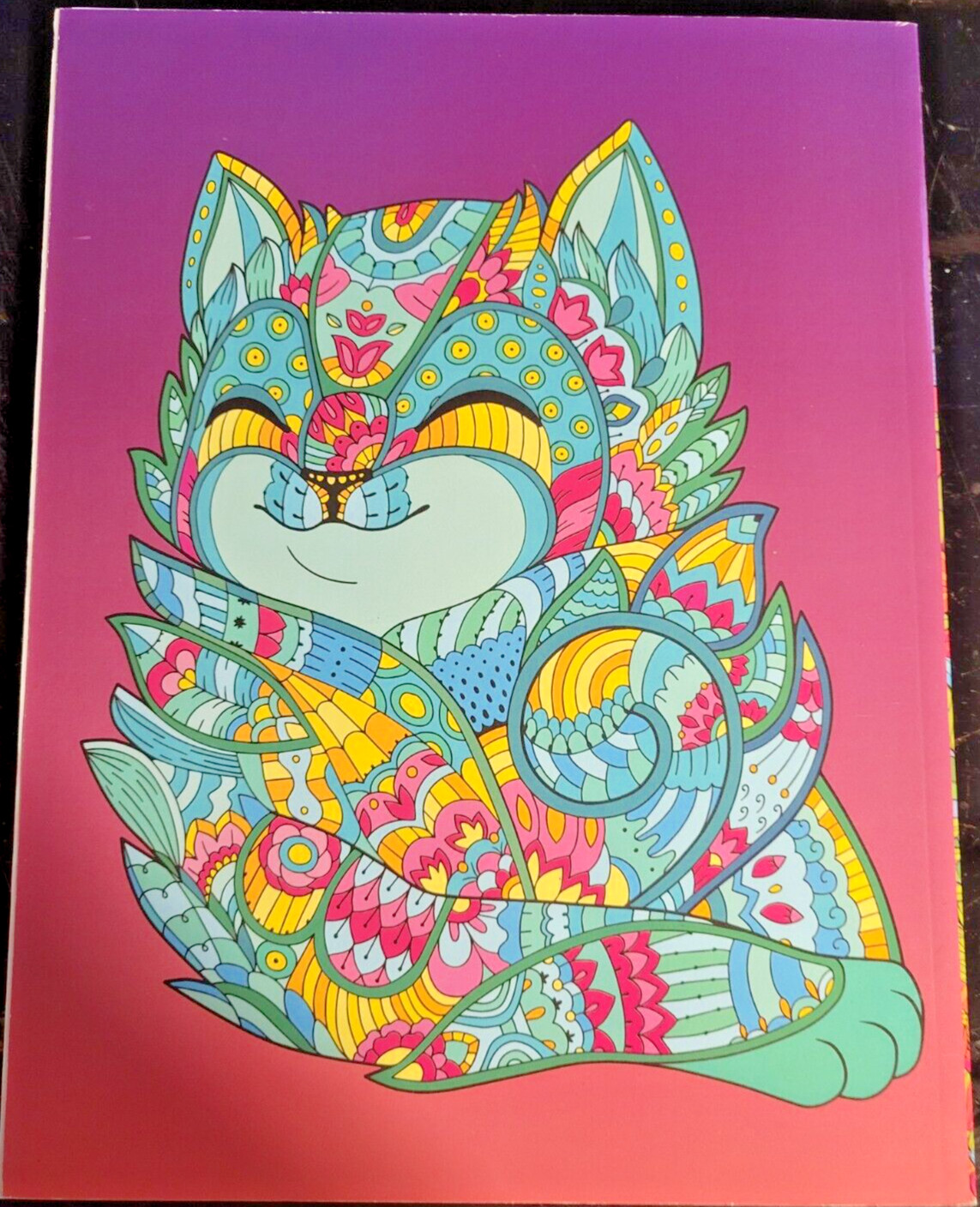 COLOR ME MAGNIFICENT Vol 10 – Adult Coloring Book by TOPIX MEDIA – 47 PRINTS