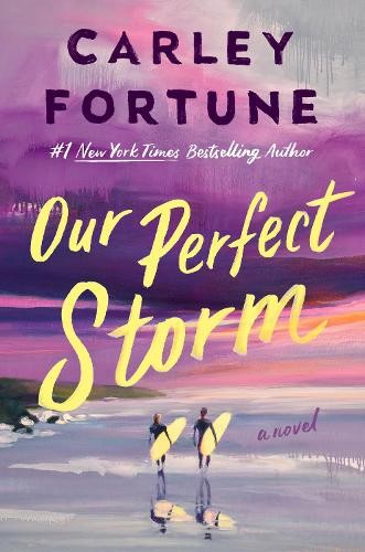 Carley Fortune Our Perfect Storm (Hardback)