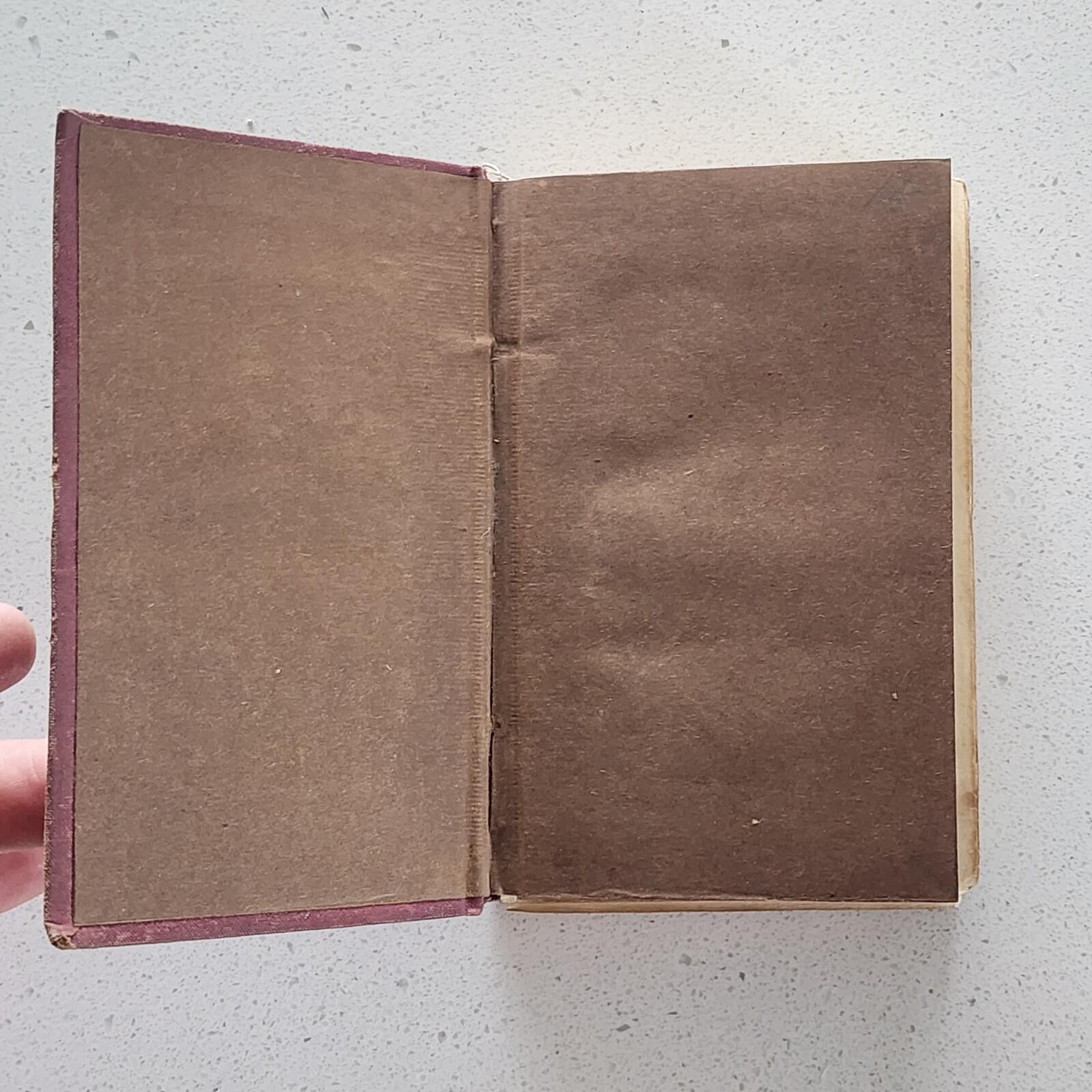 1889 New Testament Pocket Bible American Bible Society Gilt Edges Antique