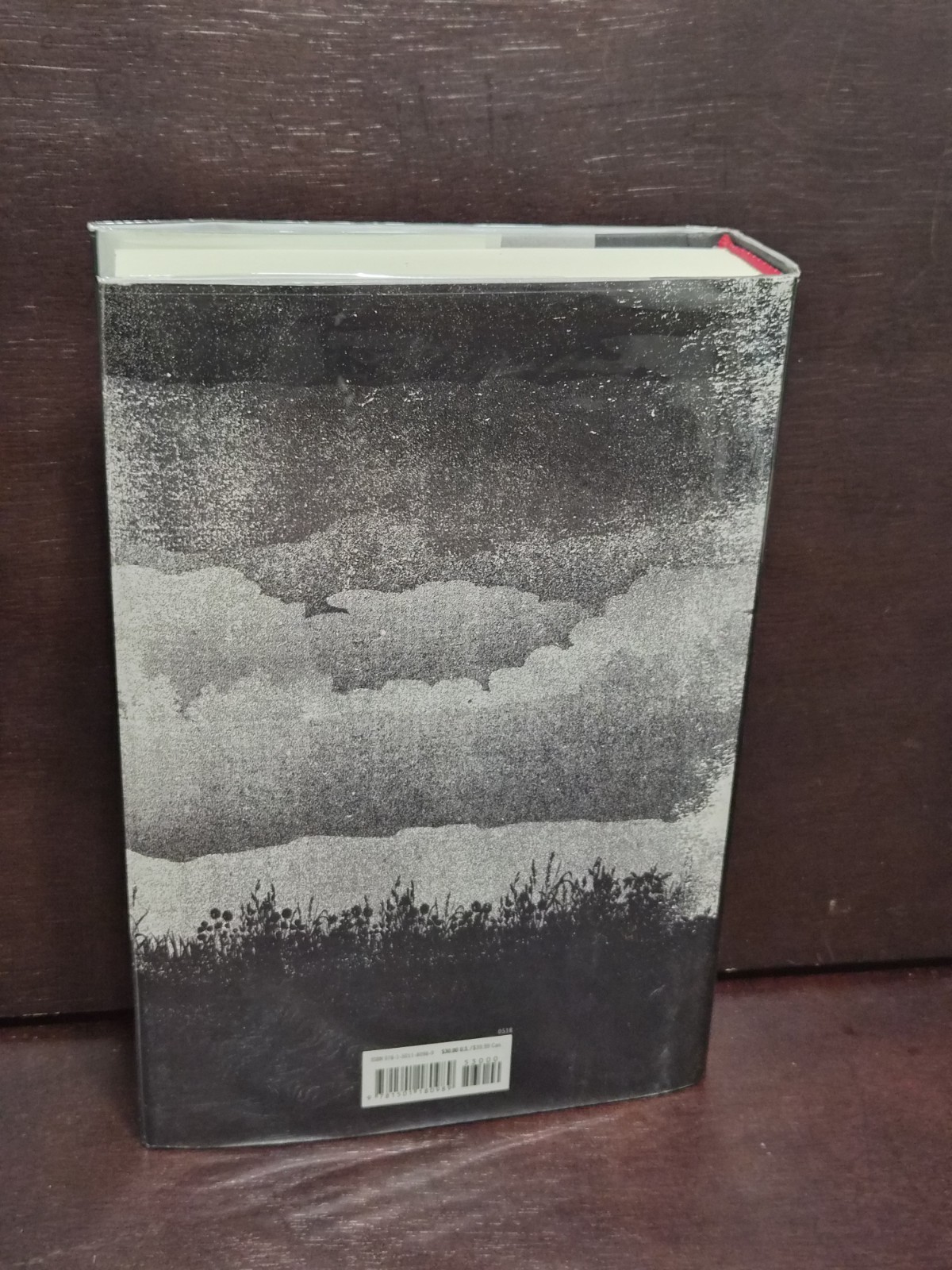 ​Stephen King The Outsider 2018 1st Ed 1st Print Scribner Hardcover HCDJ LN