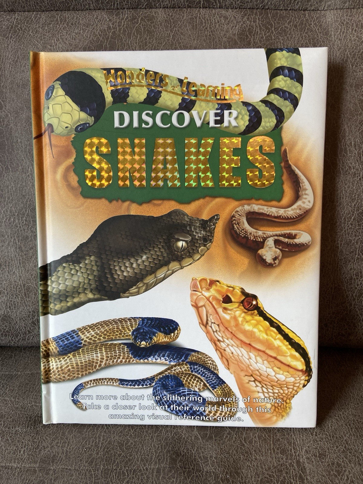 Wonders Of Learning Discover Books (Lot Of 4) Snakes, Bugs, Sharks, Dinosaurs
