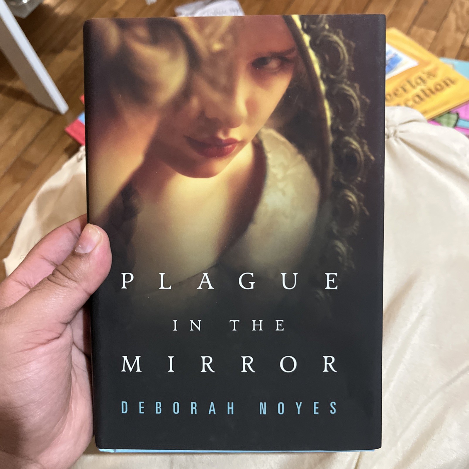 Plague in the Mirror by Deborah Noyes Historical Fiction Novel Tale