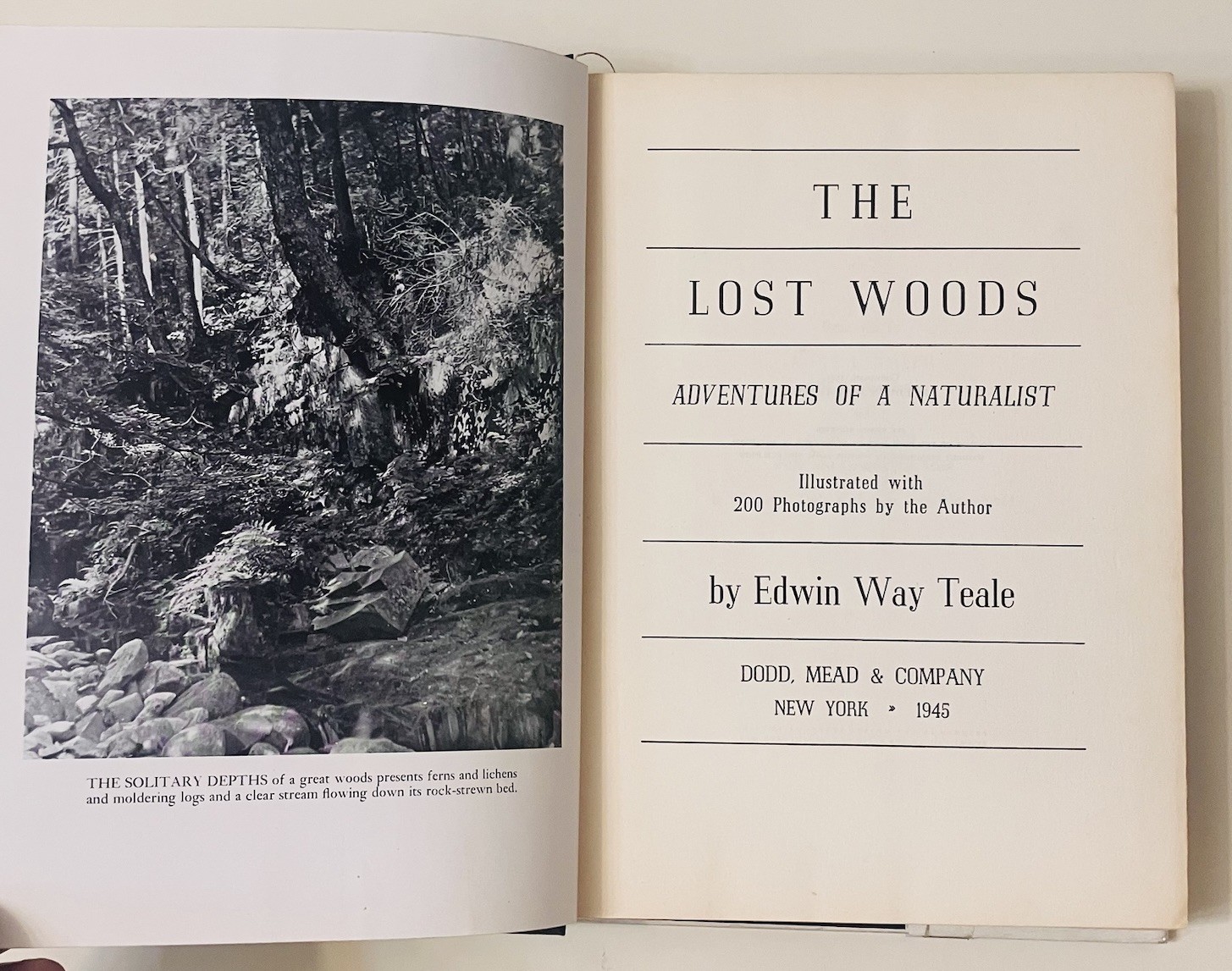 The Lost Woods – Edwin Way Teale – 1945 HC 1st Ed w/ Dust Jacket