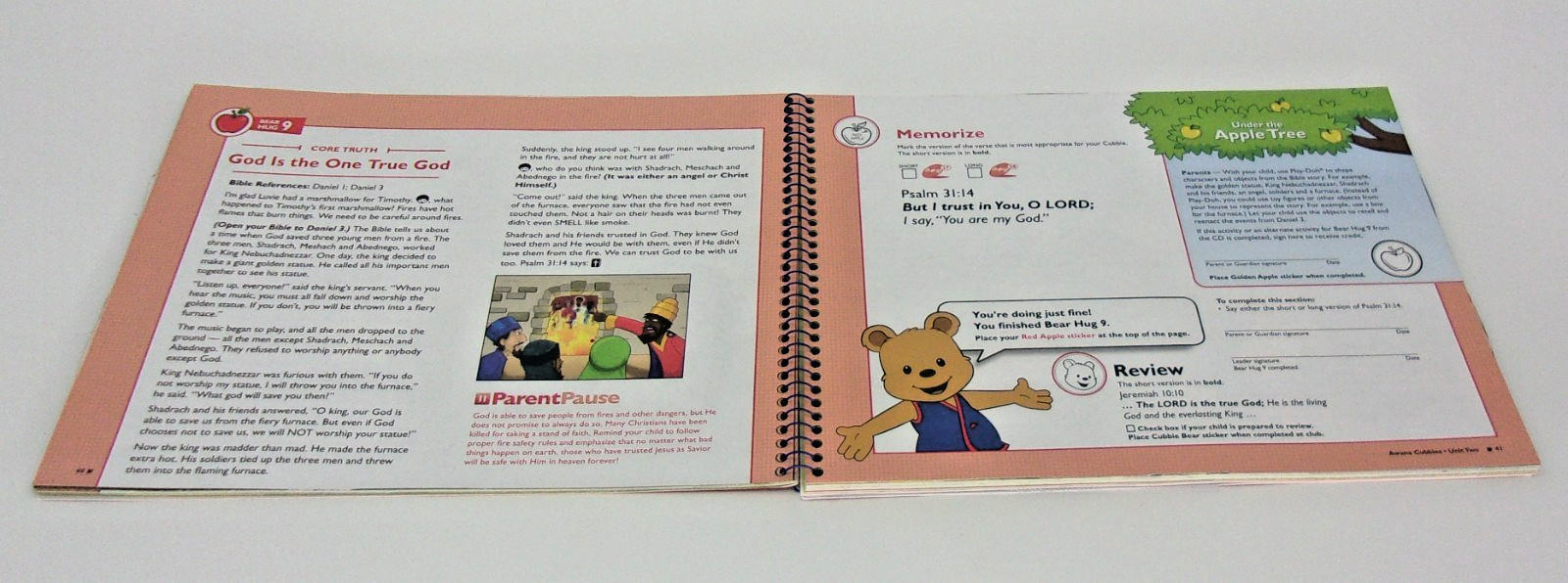 Awana Clubs Cubbies-HoneyComb with CD-95455, ESV