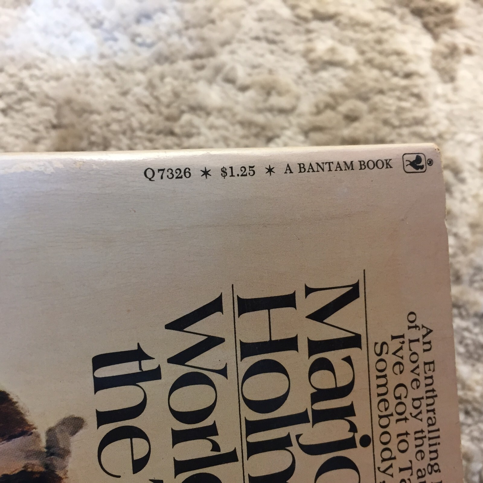 World By The Tail Romance Paperback Book by Marjorie Holmes Bantam Books 1972