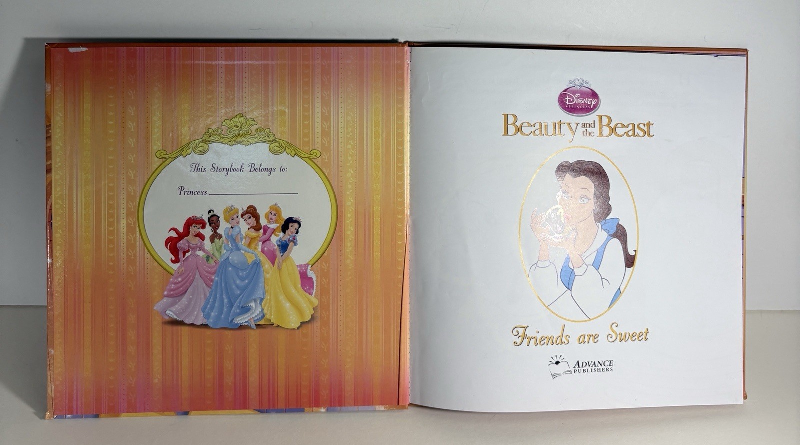 Lot of 9 Disney Princess Books: 1, 2, 3, 6, 7, 9, 10, 11, 12, Illustrated HCs
