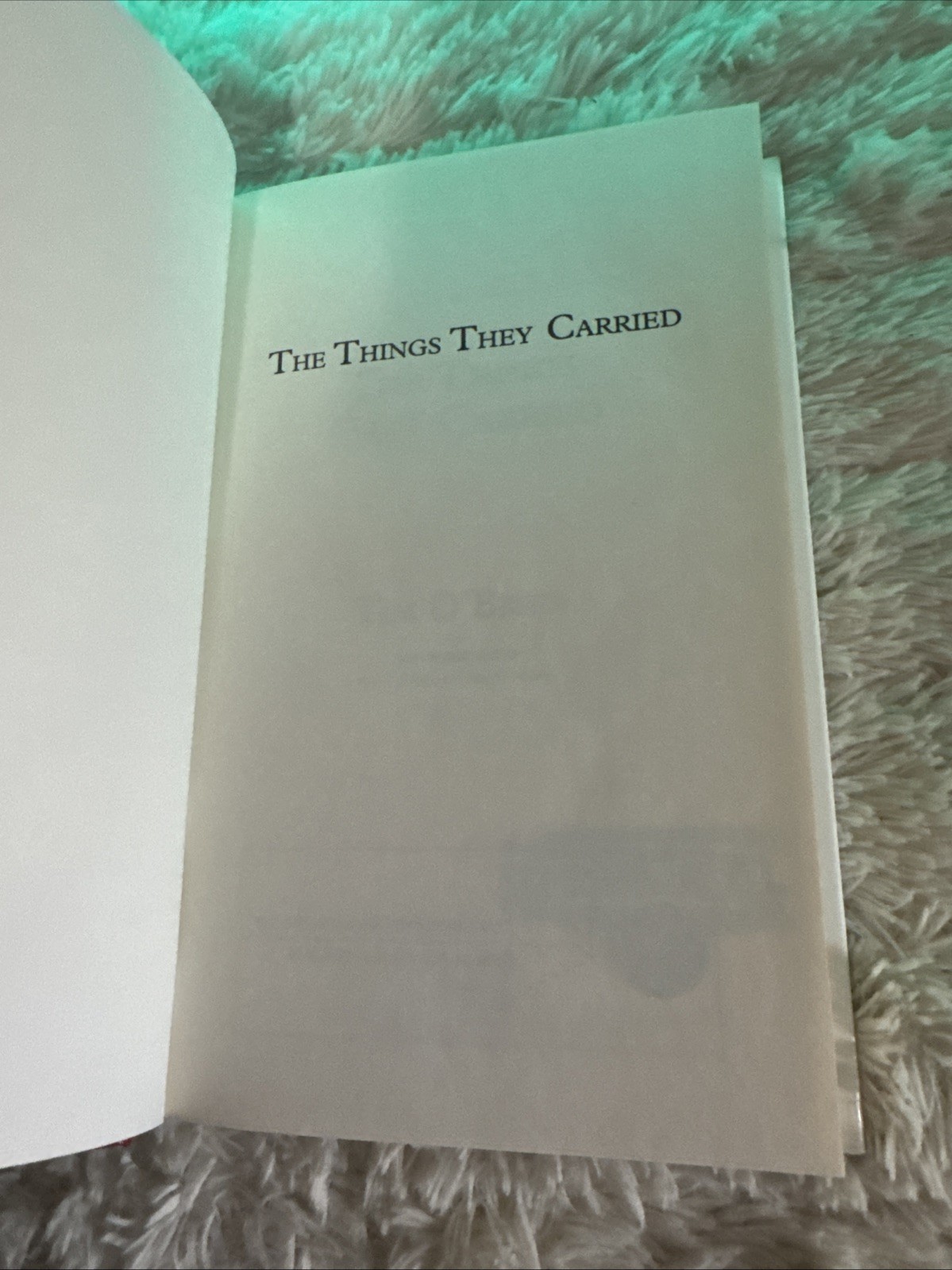The Things They Carried Tim O’Brien Large Print Shlf
