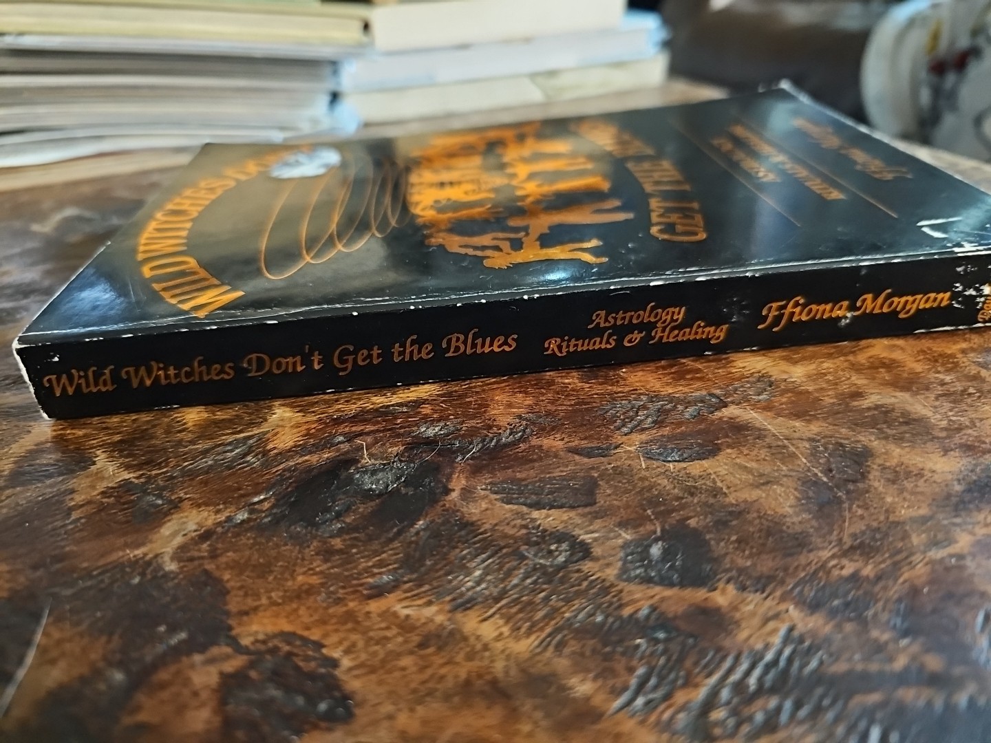 Wild Witches Don’t Get the Blues Ffiona Morgan 1991 Astrology Rituals Healing