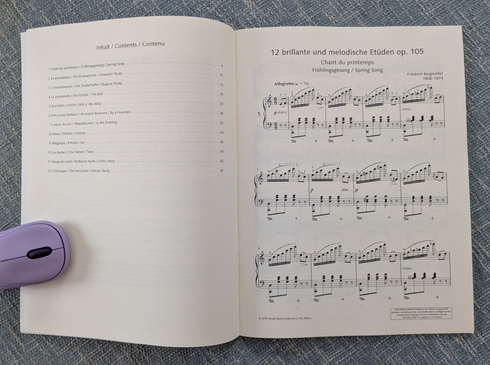 12 Brilliant and Melodious Studies, Op. 105 by Frederic Burgmuller 50 Pages