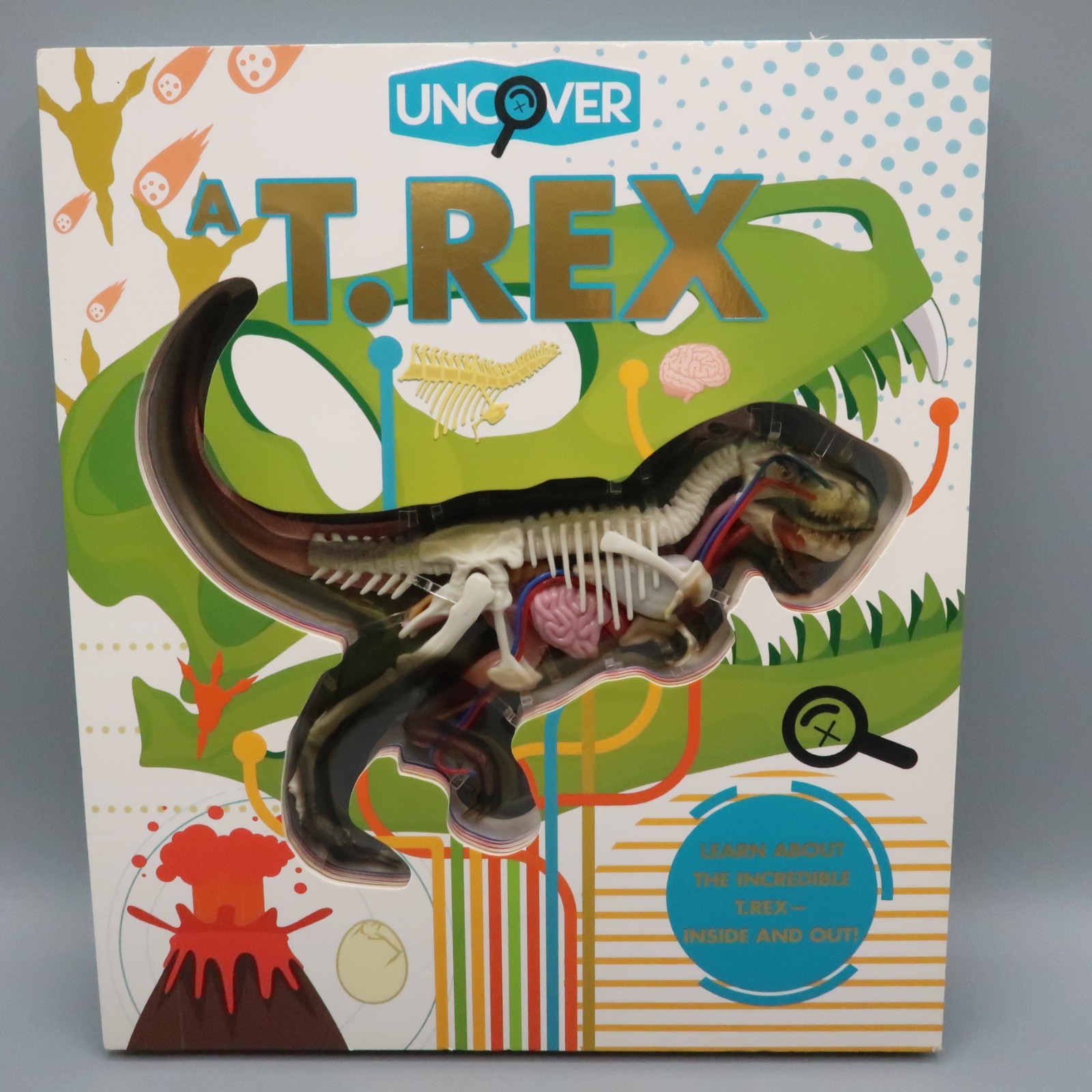 Uncover a T-Rex: An Uncover It Book Board Book By Schatz Dennis 3D