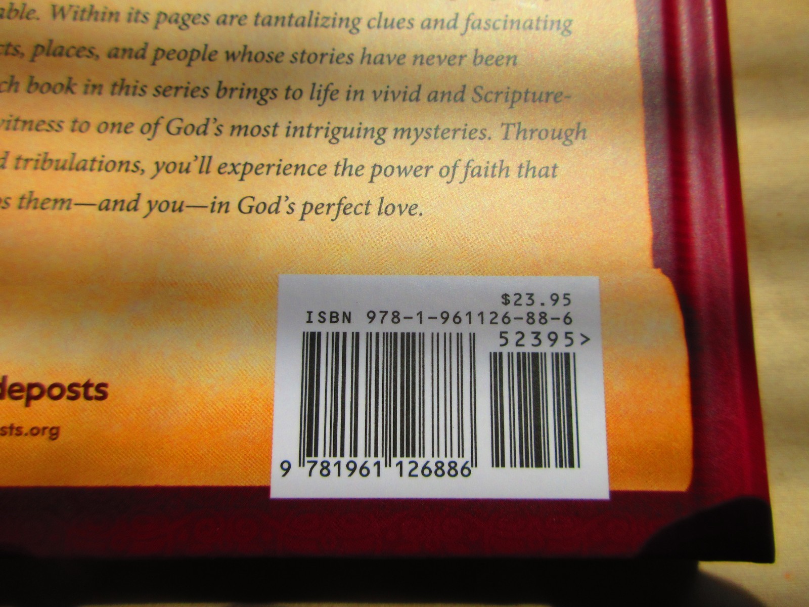 Unveiled – TAMAR’s story / Hardcover Book by Roseanna M. White / New / Unread /