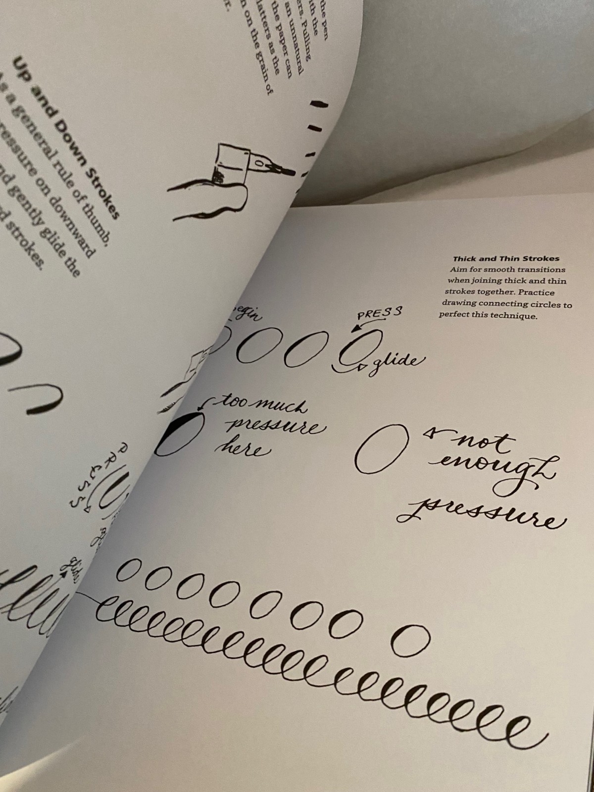 Creative Lettering and Beyond Walter Foster Pb 2014 978-1-60058-397-1