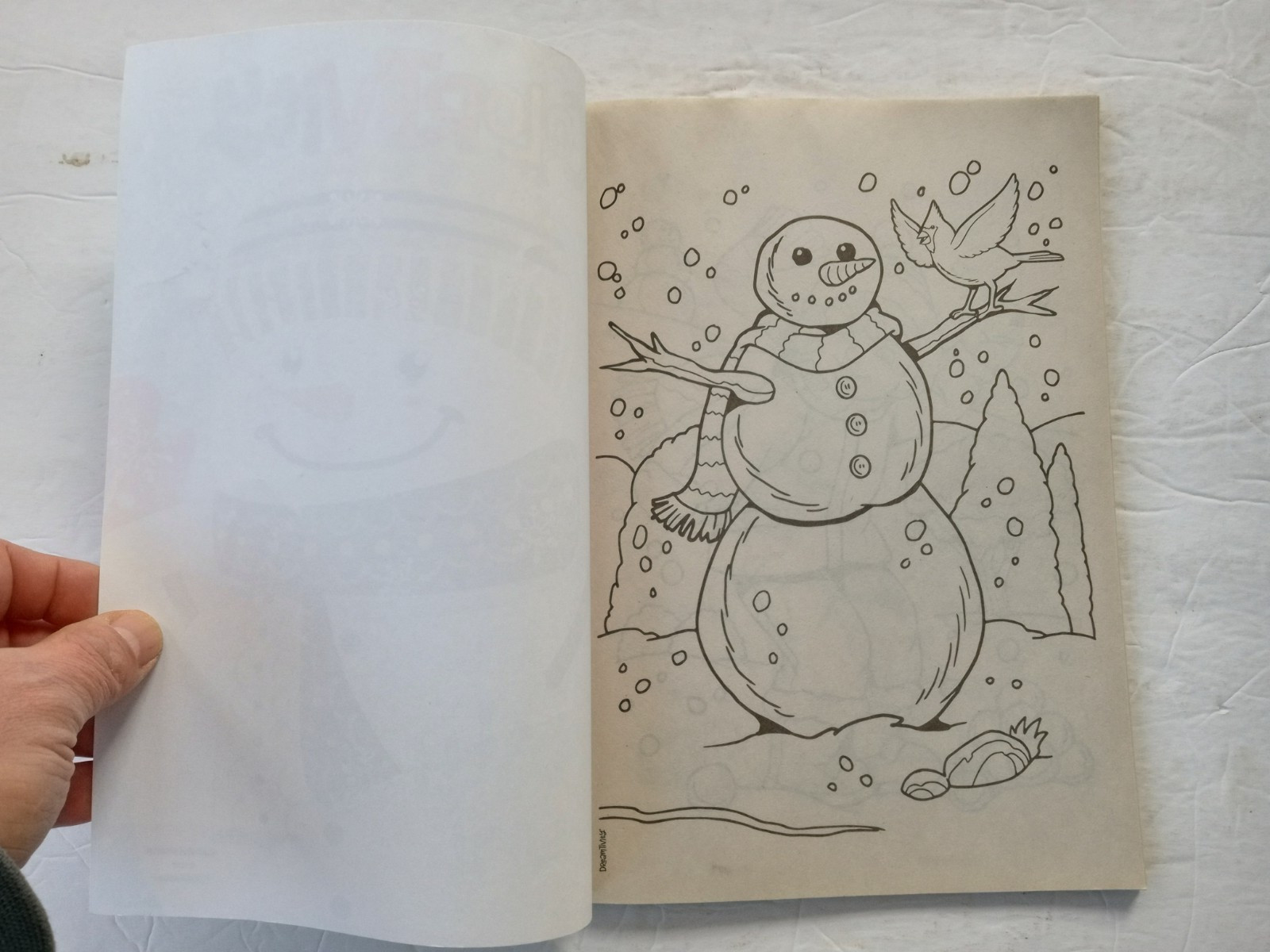 Colortivity Christmas Holiday Coloring and Activity Book Frosty Fun DREAMTIVITY