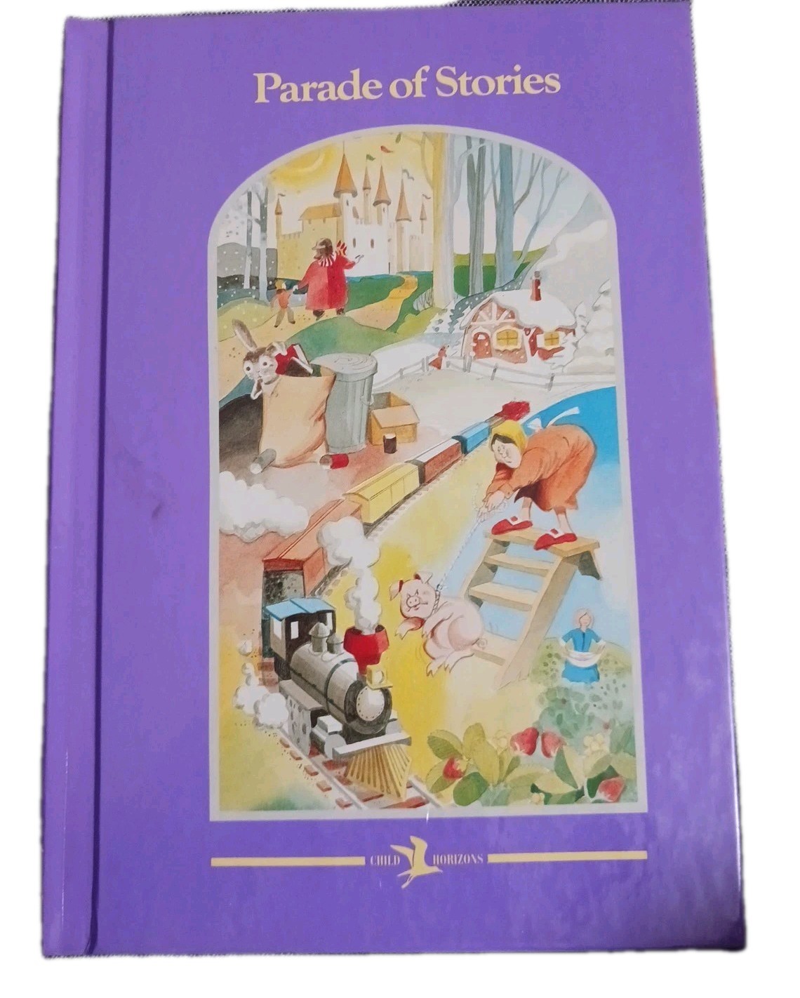 LOT OF 5 CHILD HORIZONS BOOKS 1996 STANDARD EDUCATION CORP, HC Copyright