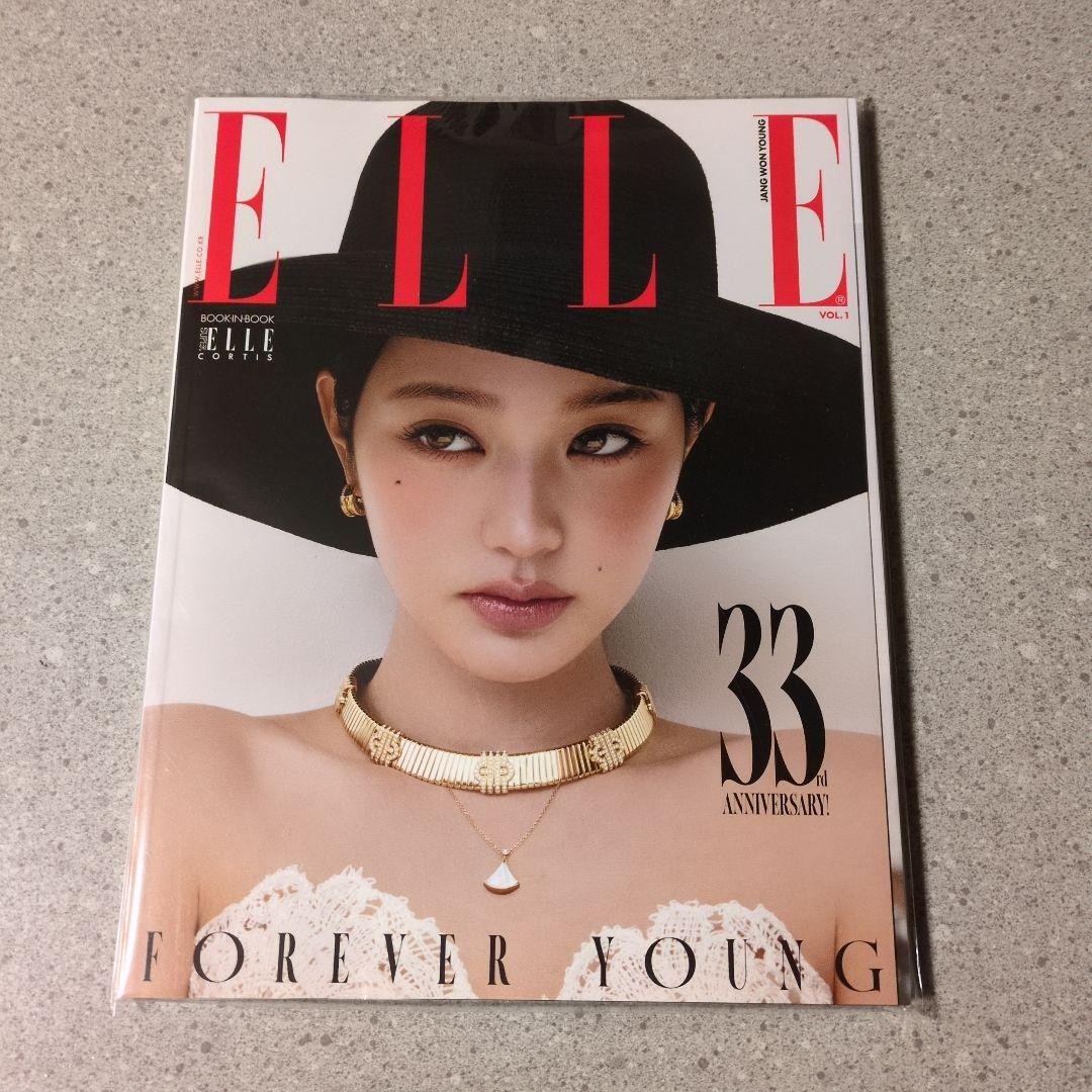 Jang Ki-young ELLE Nov 2025 Magazine Japan Edition 29x22cm Used