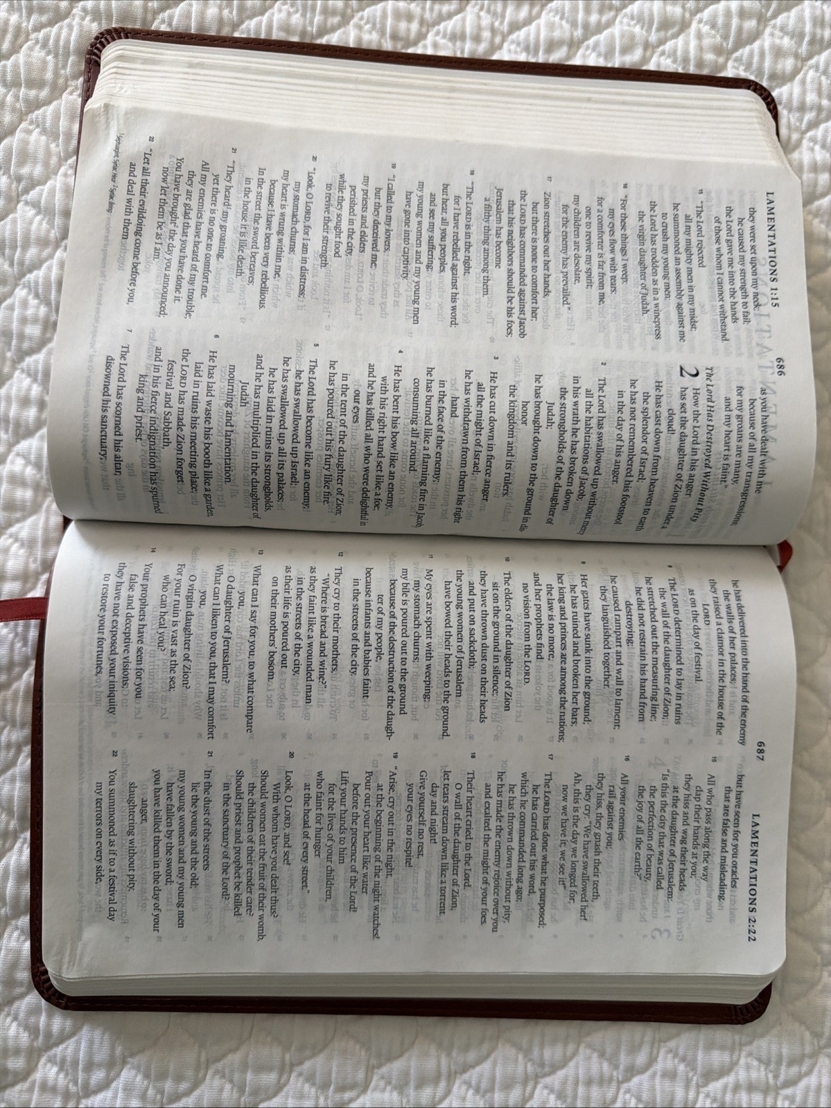 ESV Thinline Bible TruTone Nutmeg Filigree Design Red Letter Text 9781581347210