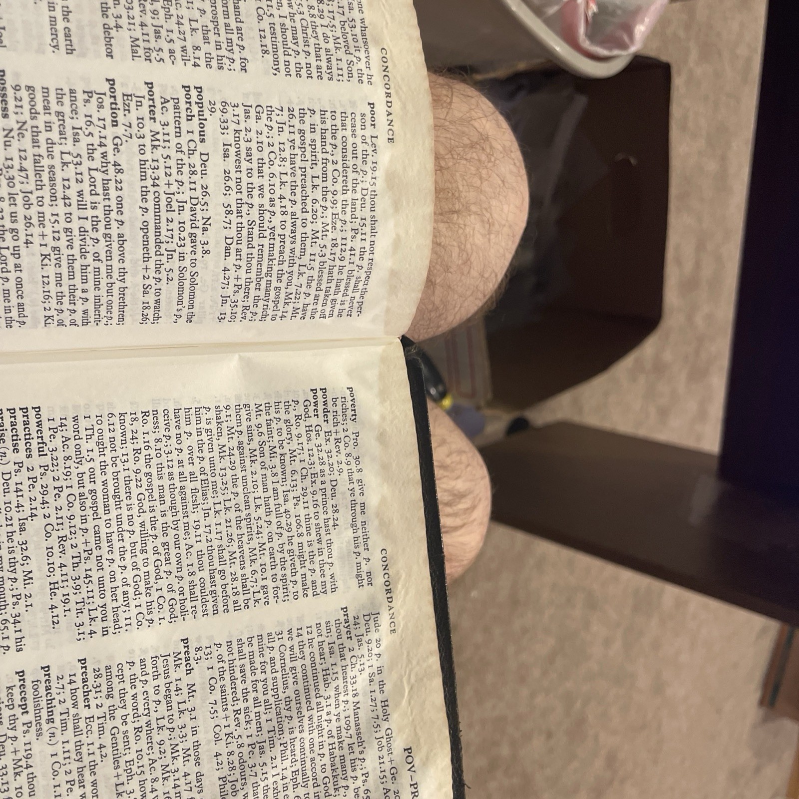 Holy Bible Cambridge French Morocco leather #24XC