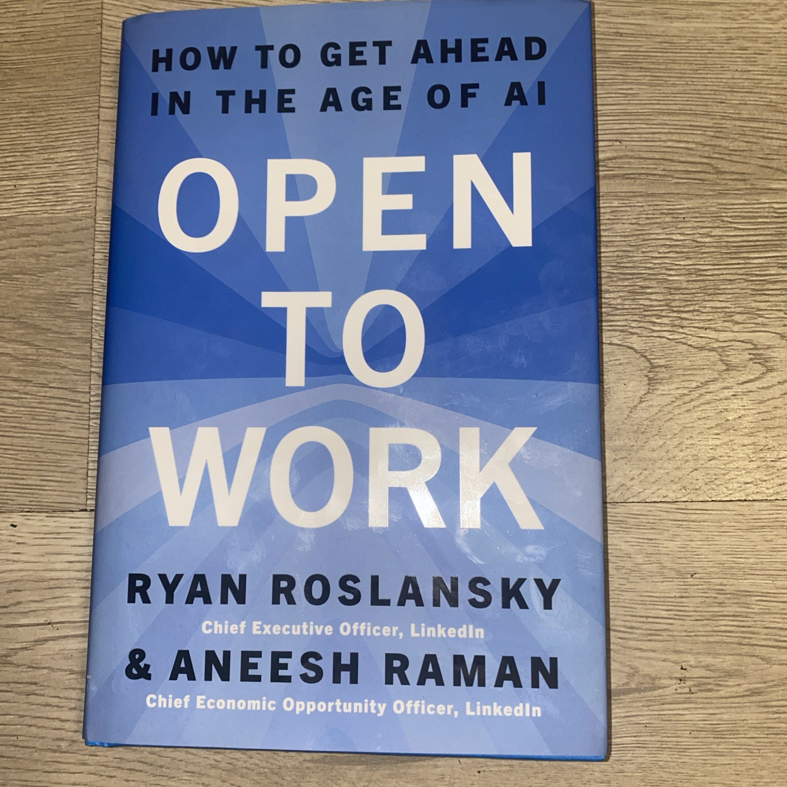 Open to Work How to Get Ahead in the Age of AI HC Book Ryan Roslansky