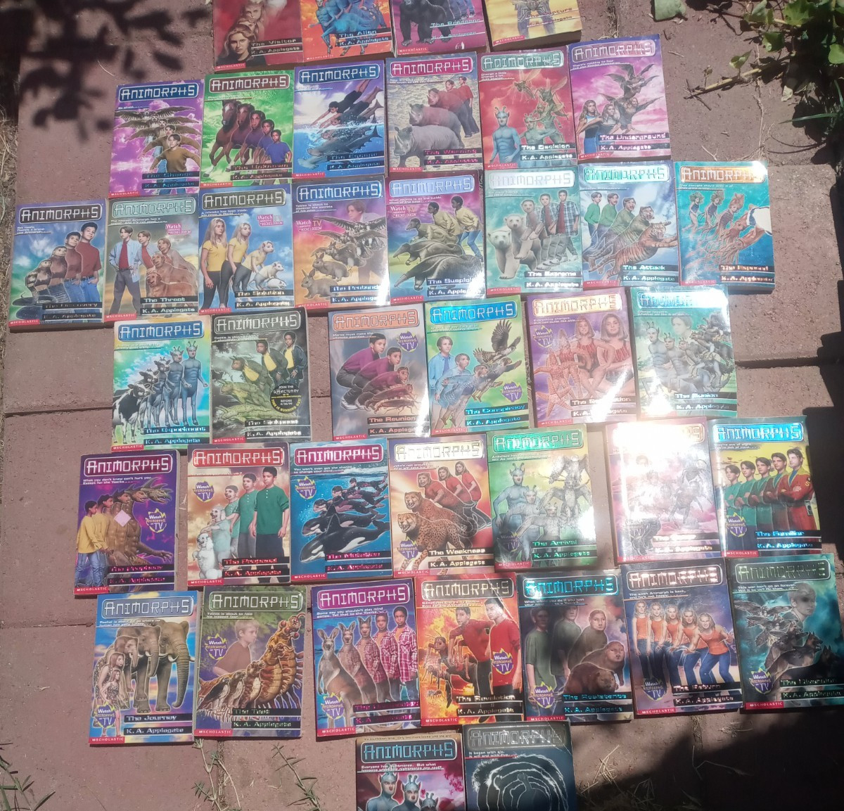 LOT of 40 ANIMORPHS K.A. Applegate Vintage Scholastic Books