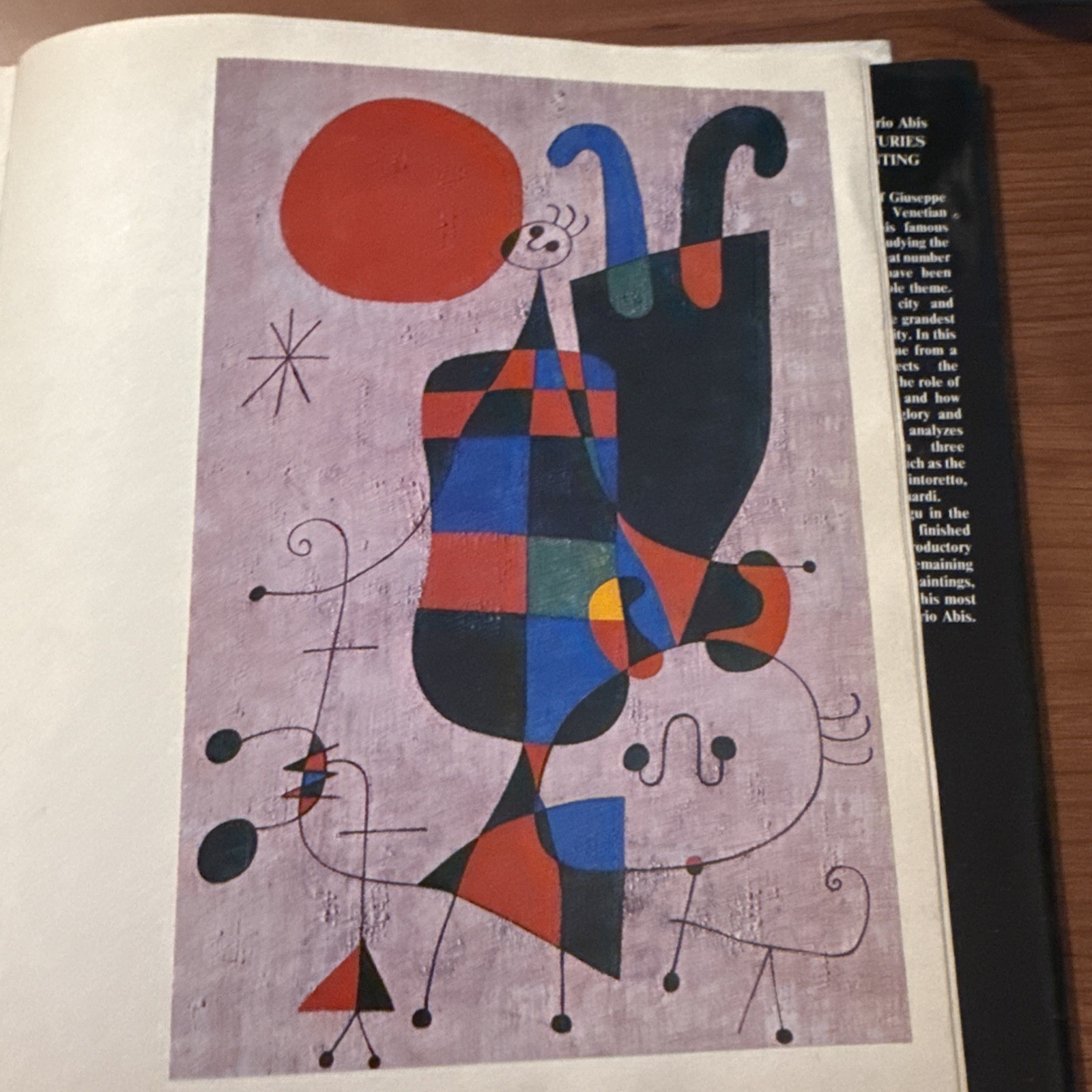 book art Spanish painting hardcover 1989 black cover like new second printing