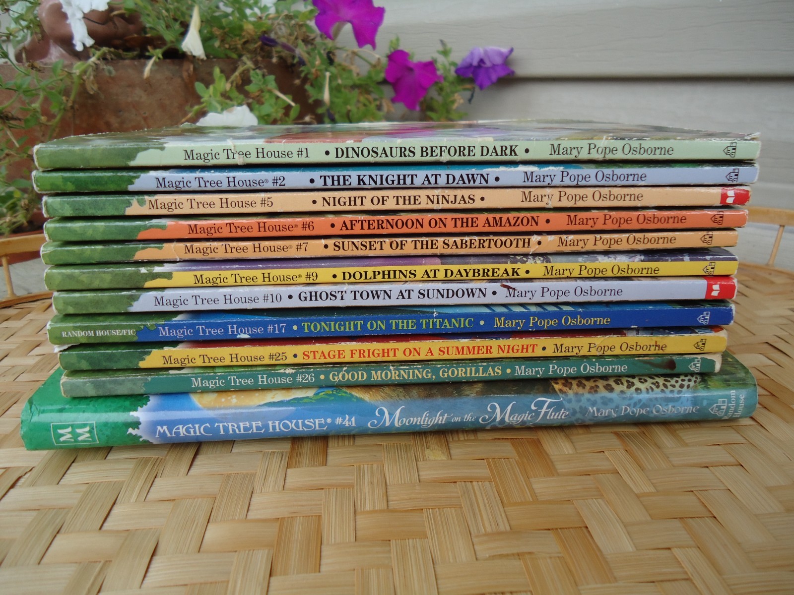 Magic Tree House Lot 11 Books Mostly PB No Repeats Childrens Historical Fiction