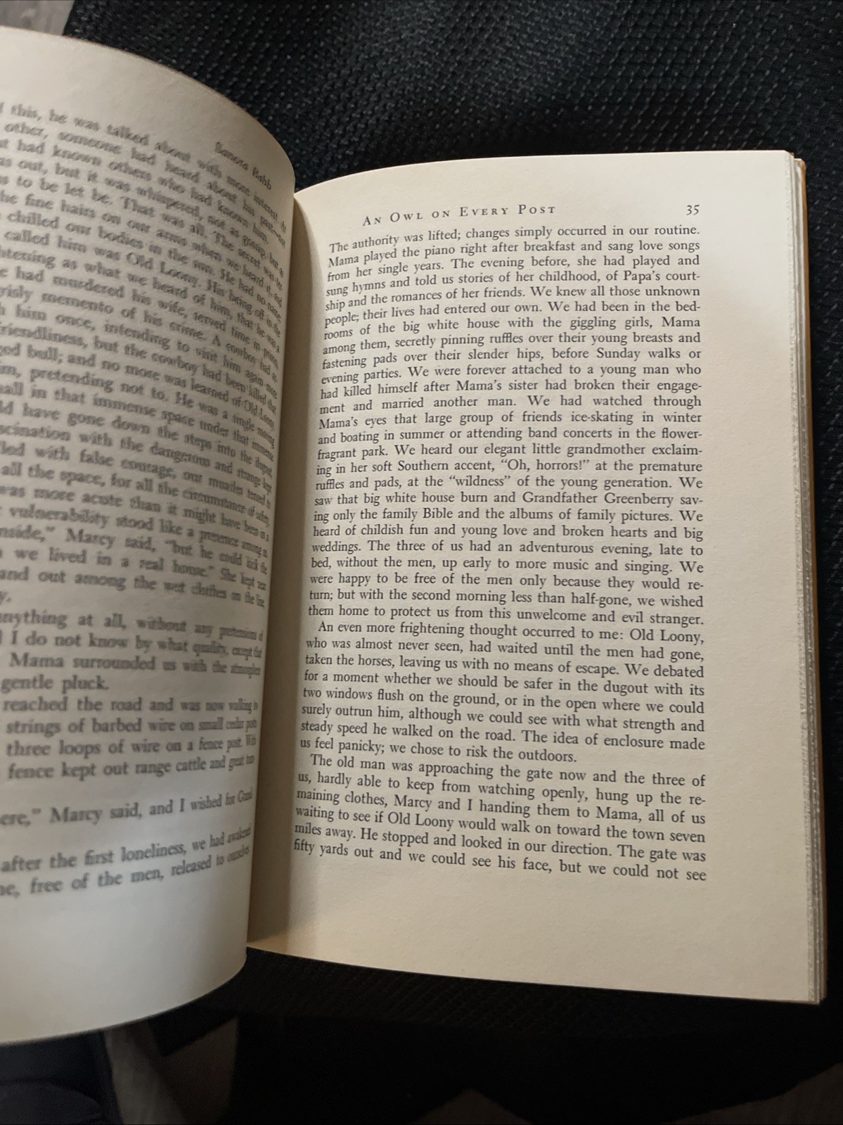 An Owl on Every Post By Sanora Babb RARE 1st Edition HC DJ 1970 Great Condition