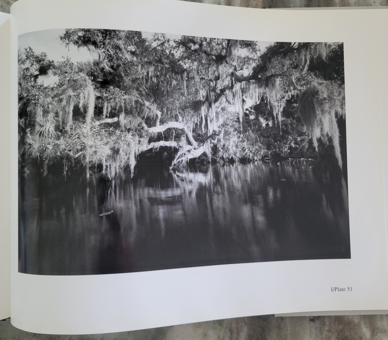 Clyde Butcher, Portfolio I: Florida Landscapes by Clyde Butcher