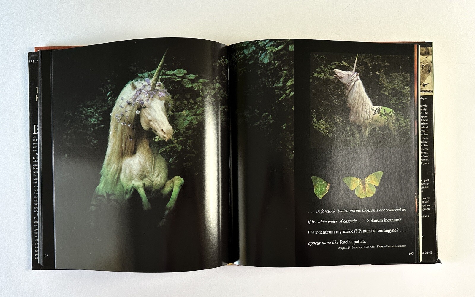 The Unicorns of Kilimanjaro by Robert Vavra First Edition fantasy photography
