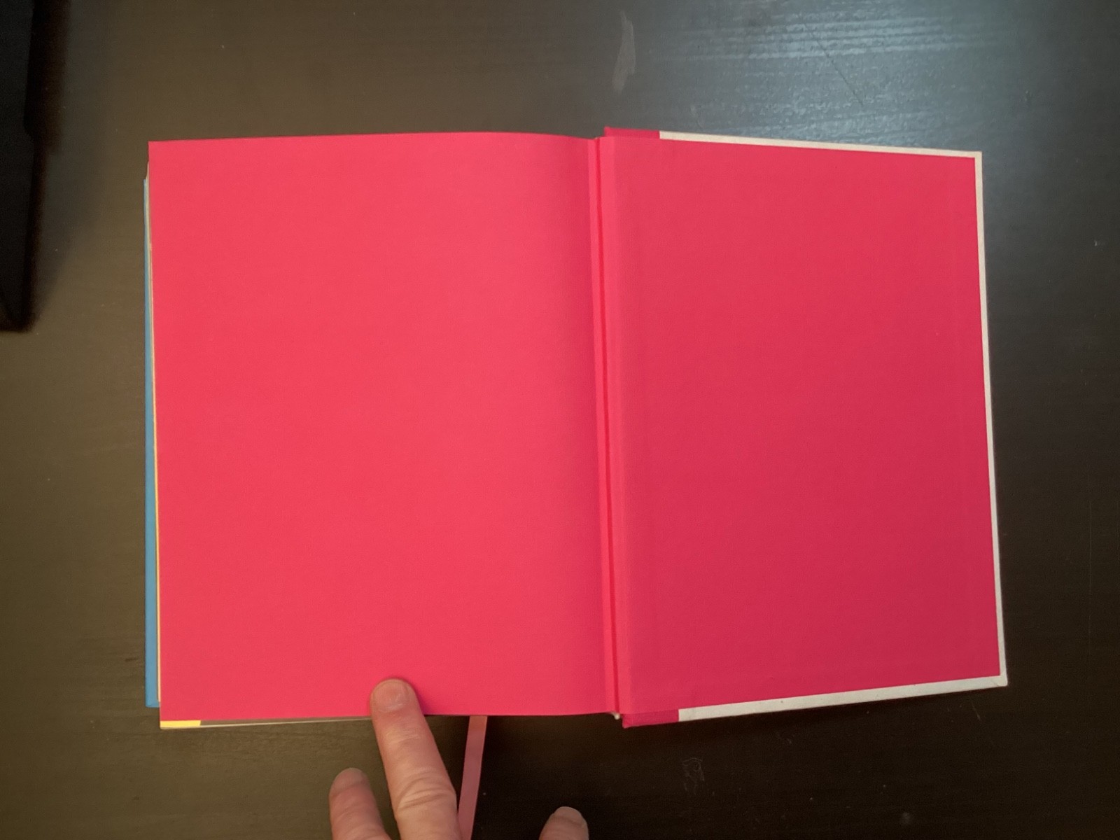 365 Day-by-Day Pin-Up Dian Hanson (2012, Hardcover Taschen)