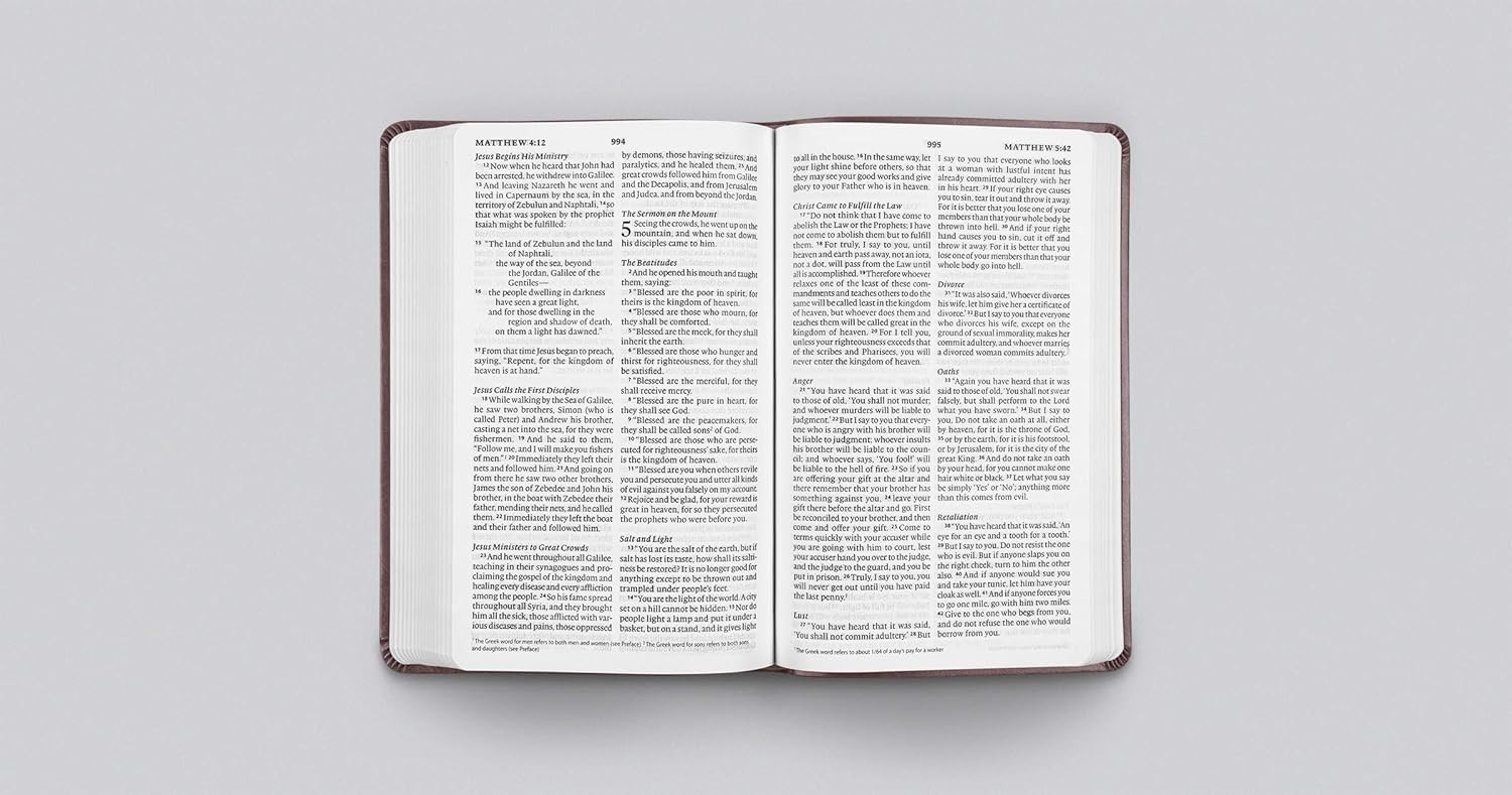 ESV Large Print Value Thinline Bible (Trutone, Mahogany, Border Design)