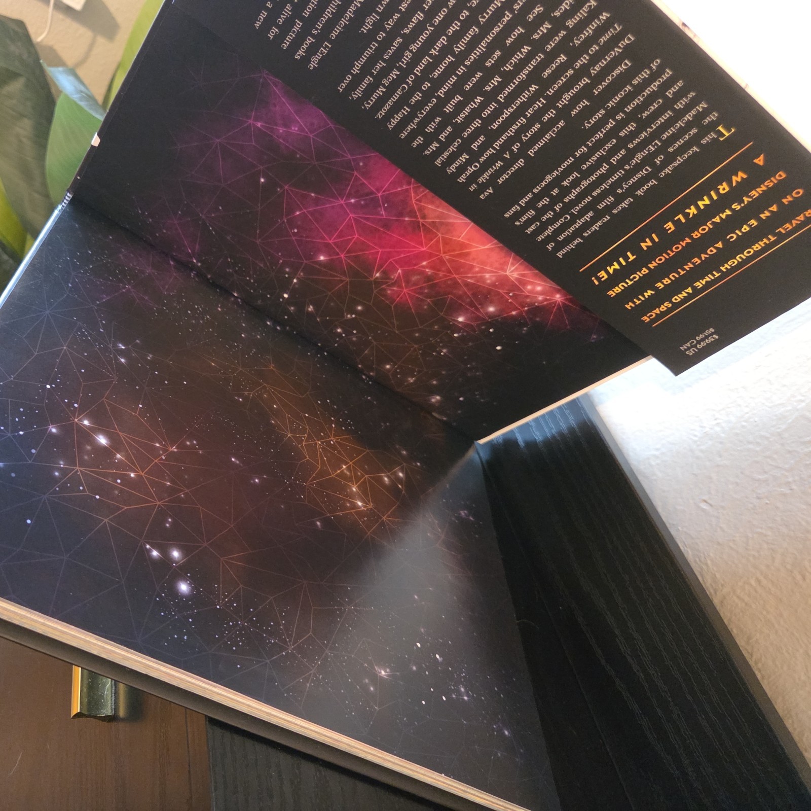 The World of a Wrinkle in Time: The Making of the Movie by Kate Egan Disney Book