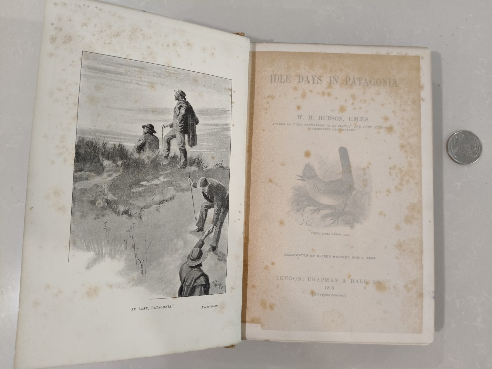 Idle Days in Patagonia W. H. Hudson 1893 1st Edition True First Chapman & Hall